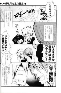 (C73) [BBP (Izumi Bouko)] Tadashii Maid no Susume (Katekyoo Hitman REBORN!)