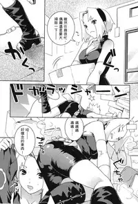 [Kishimoto Saisi] naruto ninja biography vol.09 (naruto) [chinese]