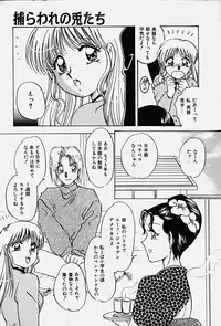 [Nakafusa Momo] Toraware no Usagitachi