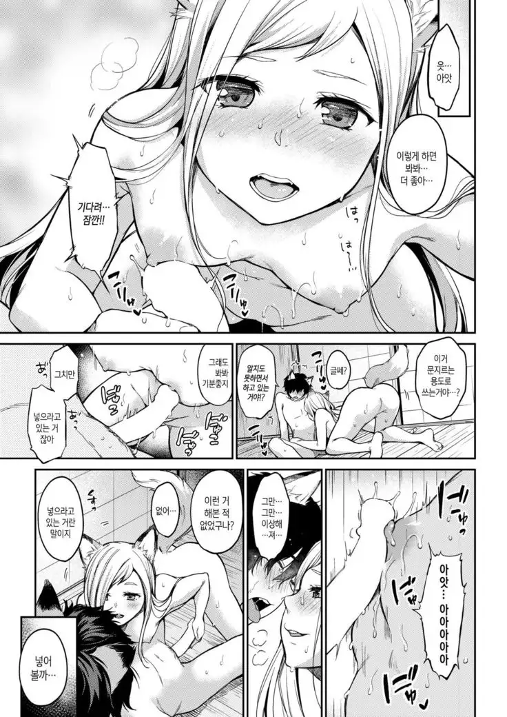 ] 愛しやコンコン