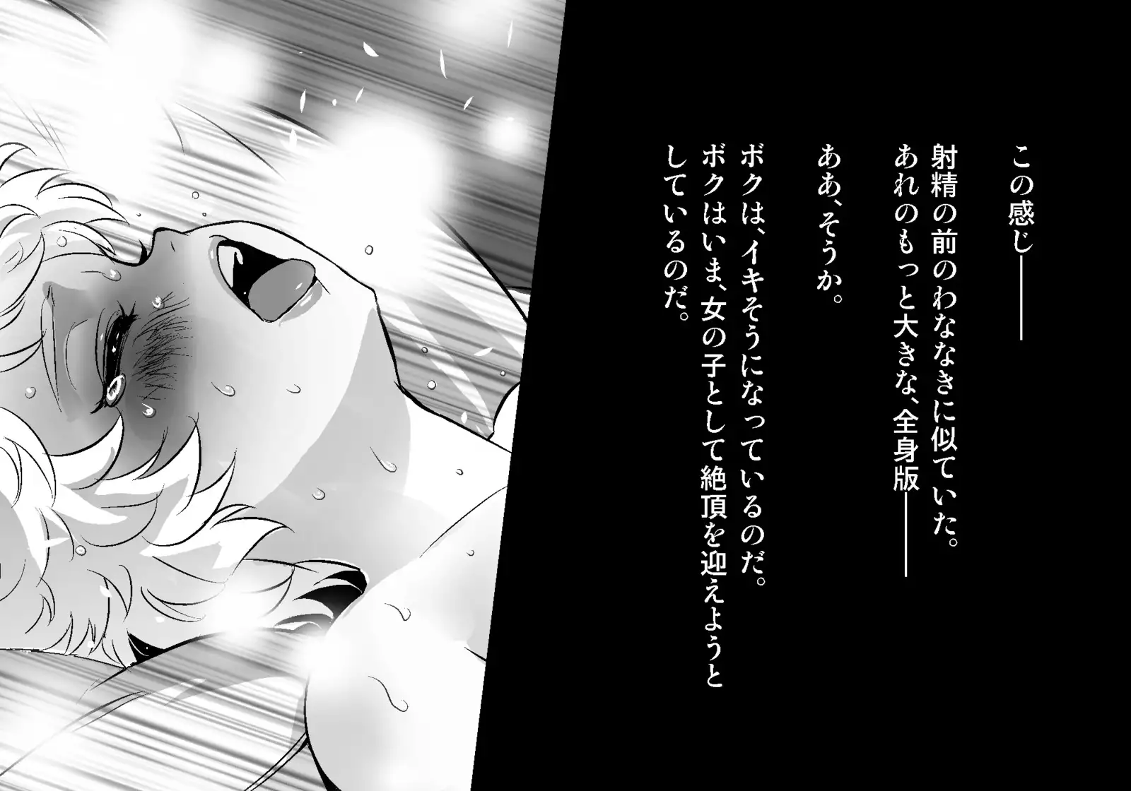 フェアリーセティ