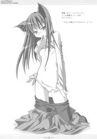 (C66) [OSHABAN (Sasahiro)] CopyIllu 2004