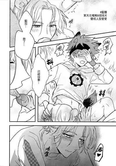 What to do when polar bears are in estrus?