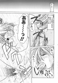 [Shizaki Masayuki] Abyssinian