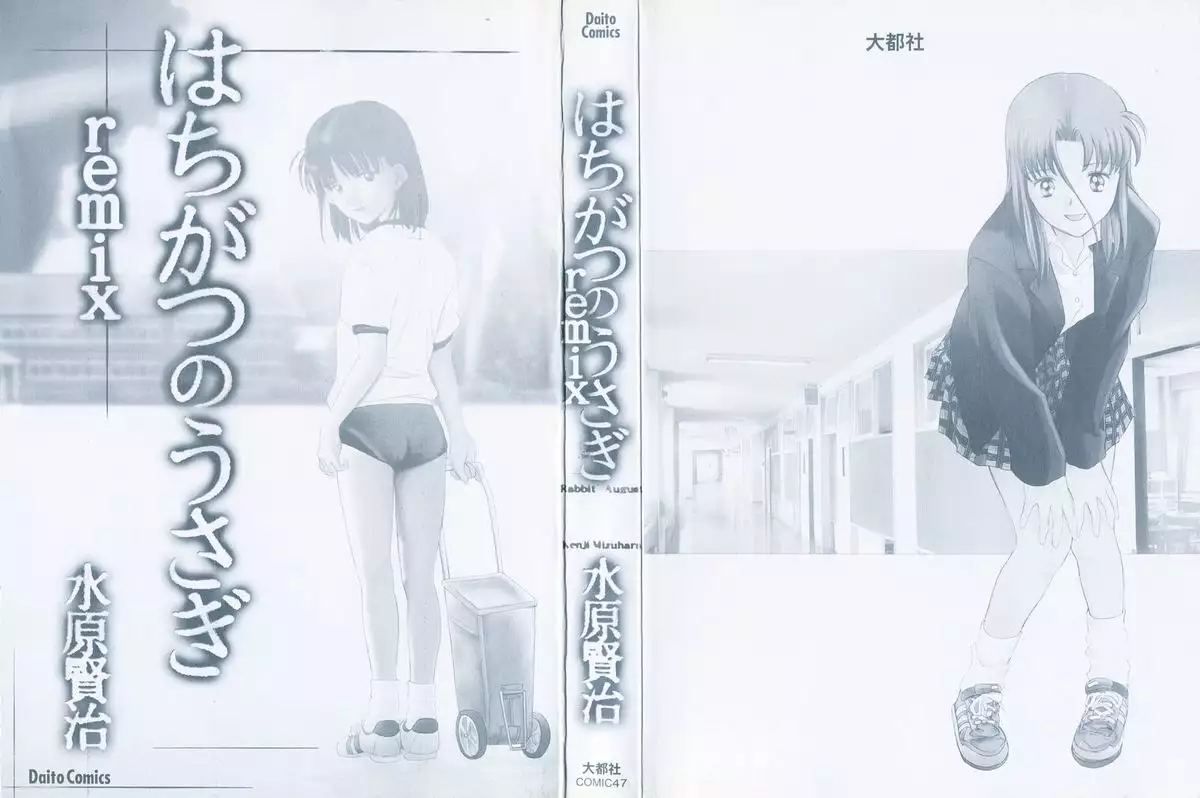 Hachigatsu no Usagi remix