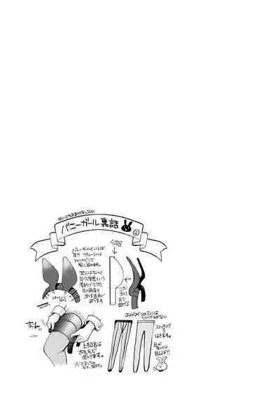 Shumi Bunny Girl tte Hontou desu ka?