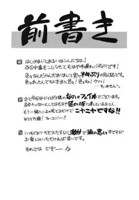 [Syamisen Koubou (Koishikawa)] WAKE UP, FRENZY! (Mahou Shoujo Lyrical Nanoha) [Digital]