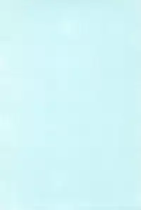 (C80) [Nyaa. to Hidamari (Takamoto Akisa)] Youjuu dakara Daijoubu! (Touhou Project)