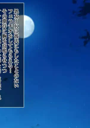 Ie Deshitara JK ni Hirowarete Ero Pet ni Narimashita.