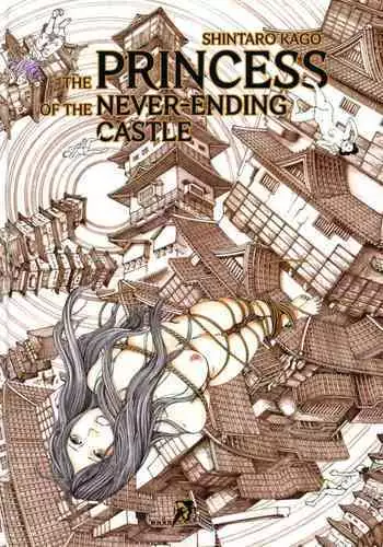 Princess of the Never Ending Castle