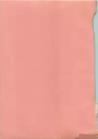 [Ebifly] Itoshi no Ebi Senbei