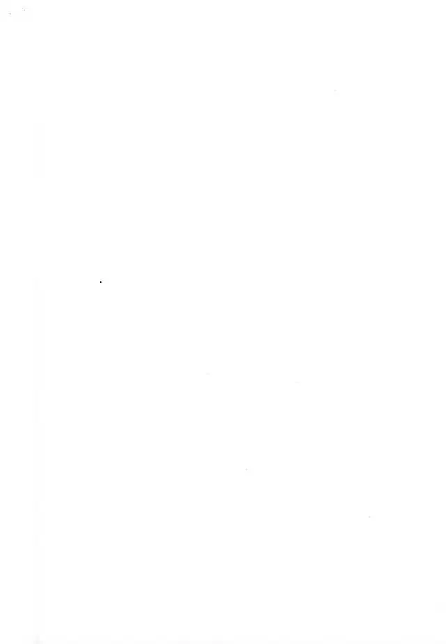 このあと無茶苦茶・・・