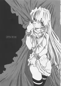 [OPEN BOOK (Toumi Haruka)] Dive Into The Night (Scrapped Princess)