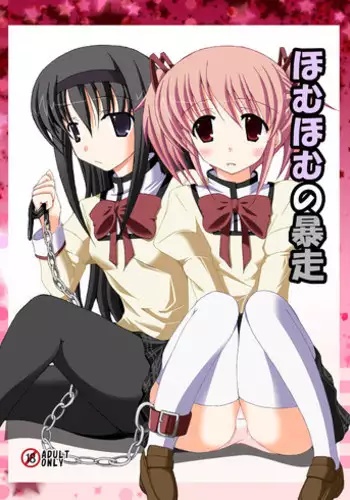 [DreamProject (Yumeno Shiya)] Homu Homu no Bousou (Puella Magi Madoka Magica) [Digital]