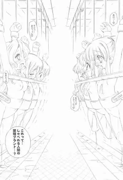 BATTLE FOR THE PLANET OF THE HAMS