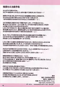 (Reitaisai 6) [Schwester (Inasaki Shirau)] Rollin 31 (Touhou Project)