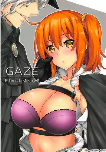 (SPARK12) [Himeya (Abe Inori)] GAZE (Fate/Grand Order)