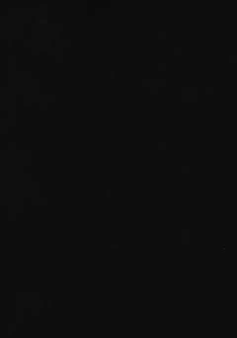 Fuchou no Sakusei Ryouhou