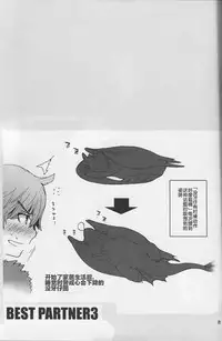 BEST PARTNER3