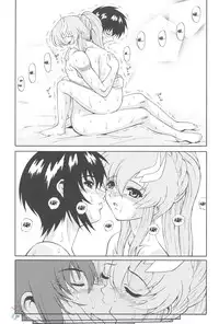 [GUST (Harukaze Soyogu)] Sternness 2 (Mobile Suit Gundam SEED) [English] [SaHa]