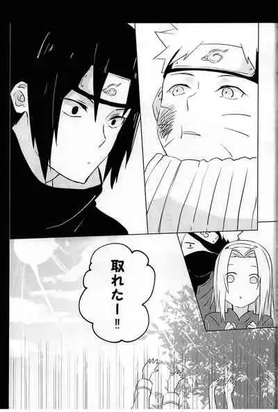 [Usagi Noodle (Hotohori, Mona-chan)] Nininsankyaku Seikatsu (Naruto)