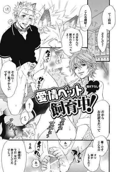 Hatsujou Pet Choukyouchuu!