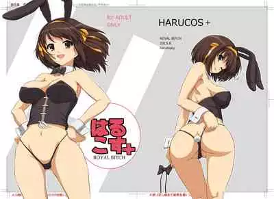 Harucos+
