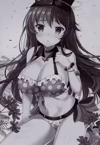 (C90) [THE FLYERS (Naruse Mamoru)] Orderly Cage (Granblue Fantasy)