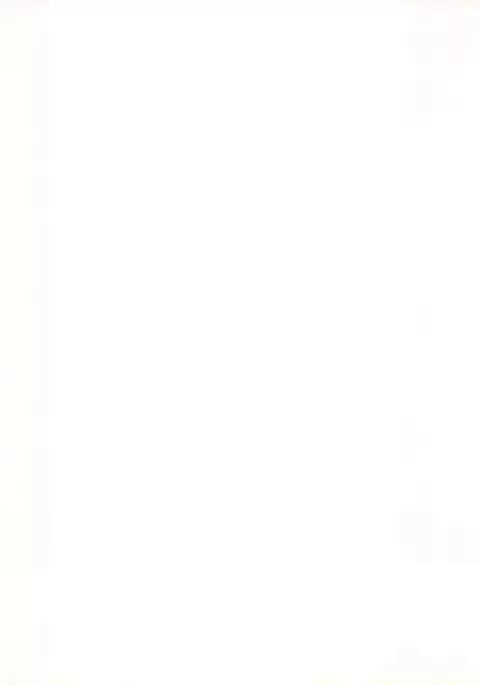 Bitei Kotsu no Tsubo