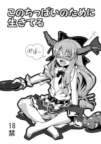 (C77) [Necrolincer (Kimoto Kanata)] Kono Chippai no Tame ni Ikiteru (Touhou Project & DARKER THAN BLACK)