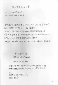 [Mental Specialist (Watanabe Yoshimasa)] Nade Nade Shiko Shiko 8 (Nadesico)