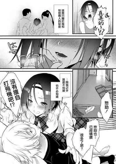 Kageki na Ane wa Otouto ni Hatsujouchuu 2-wa