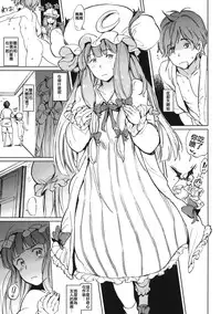 (C88) [Egao de Bouryoku (mogg)] Shinryakusha + Paper (Touhou Project) [Chinese] [南音で五樓で叉叉 漢化]