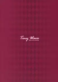 (C78) [TINY WAVE (s-yin)] Sakuya no Sekai (Touhou Project)