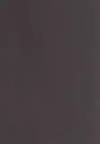 [Wada Mountain (Takashi)] Gensou Kinjuuen 2 (Touhou Project) [Digital]