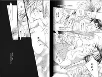 B-BOY Phoenix 13 Tenishoku Tokushū