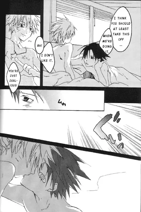 Gold Feather Silver Body