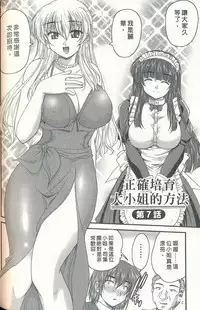 [Nanami Shizuka] Tadashii Reijou no Sodatekata [Chinese]