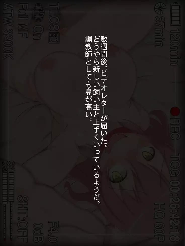 Inu no Shiawase Vol. One