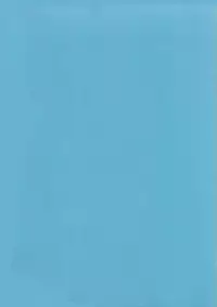 [Momohime Shibuki] Ikenai Bishoujo Kari - Immoral Beauty Girl Hunt