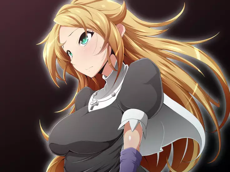 Hero Rengou Sennou Kanraku no Wana ~Battle Sister Hen~