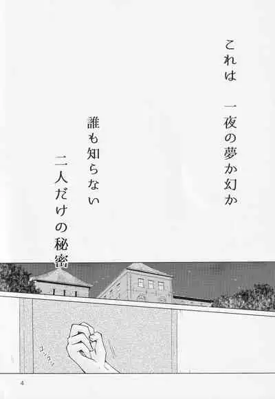 (C95) [Clefs du Paradis (Minakami Atsumu)] Himegoto (Akagami no Shirayukihime)