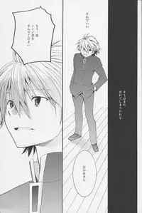 (C77) [RAYTREC (Fuyunagi Reku)] +PLUS (Neon Genesis Evangelion)