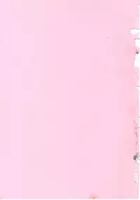 [Miwa Uzuki] Angel Blood 3