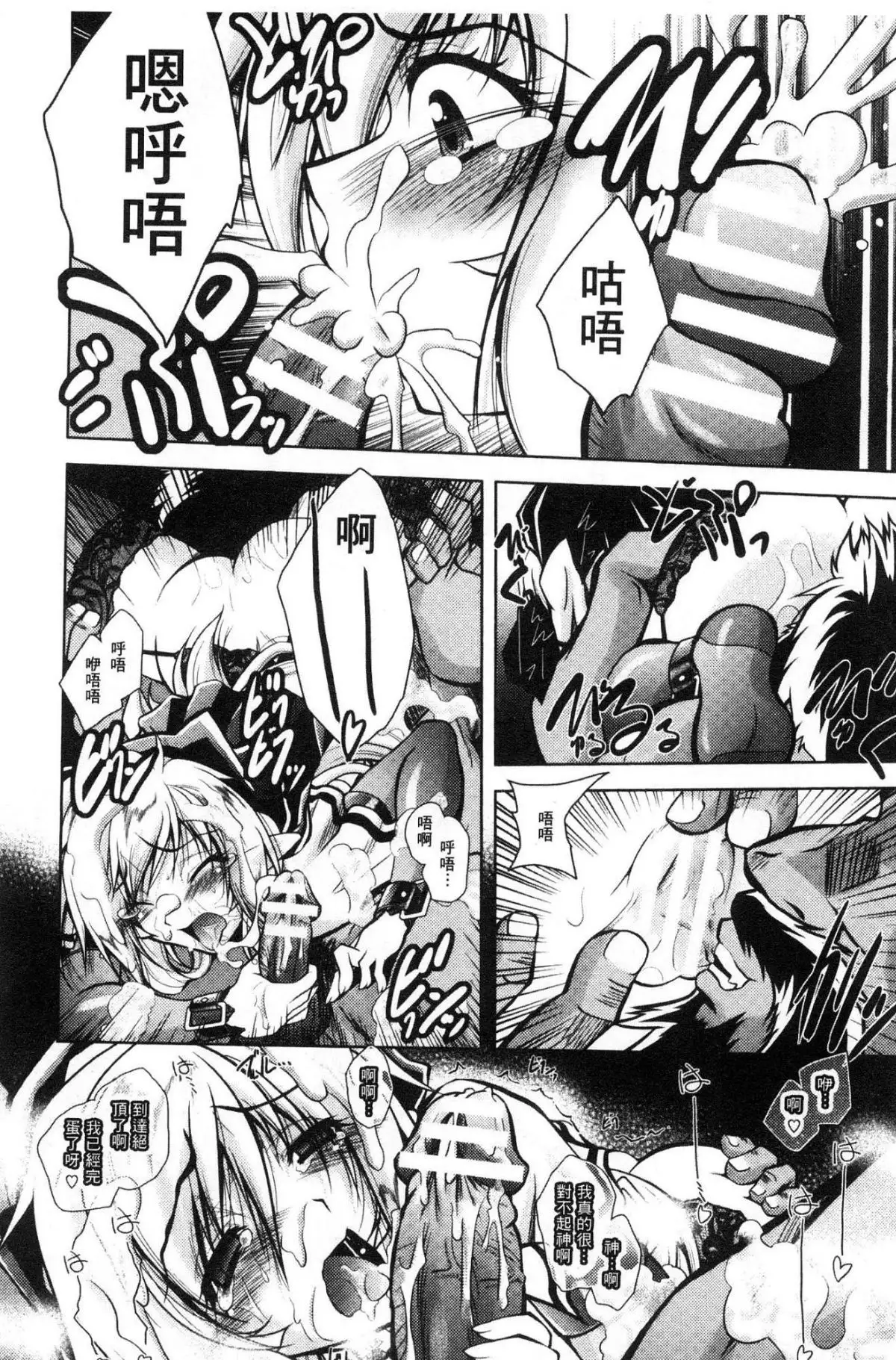 Fallen Justice -Seigi Shittsui-