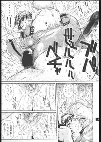 (C68) [Sekai no Hate (B-MARY)] The IDOL (Rumble Roses)