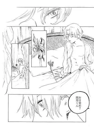 [Mubi Yuno] Day Lily