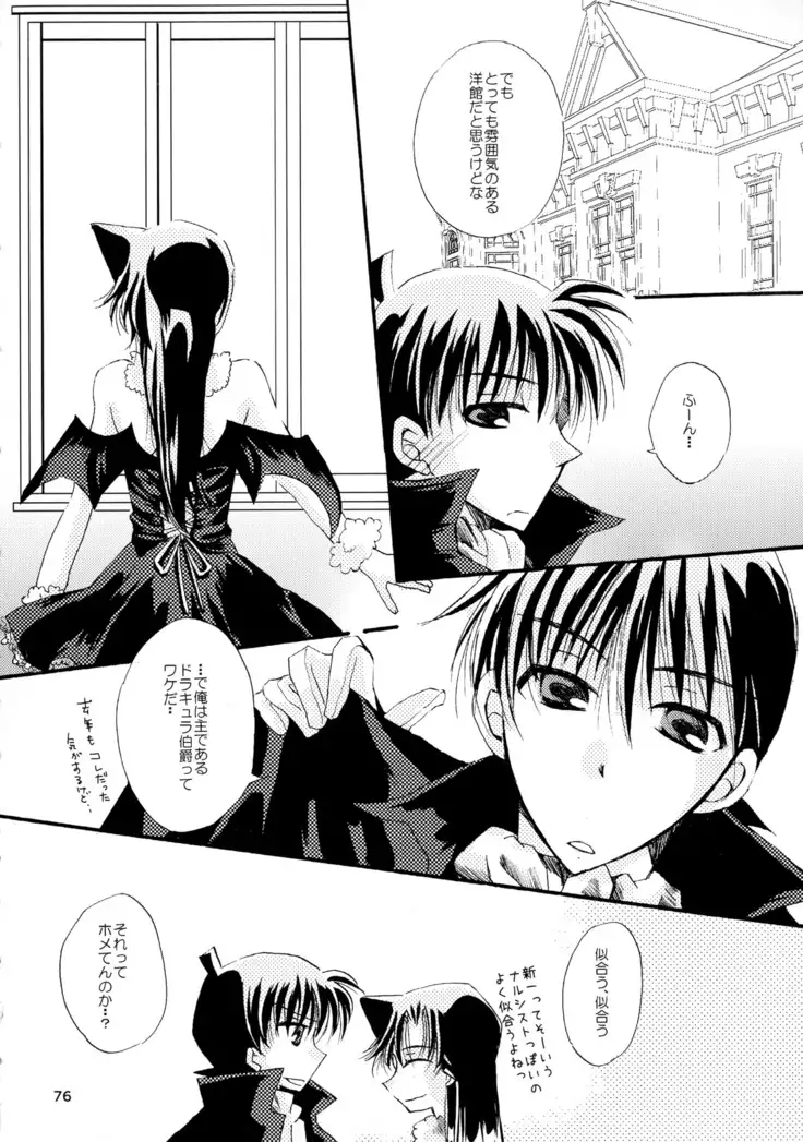 MACARON-CHOCOLAT-DOLCE