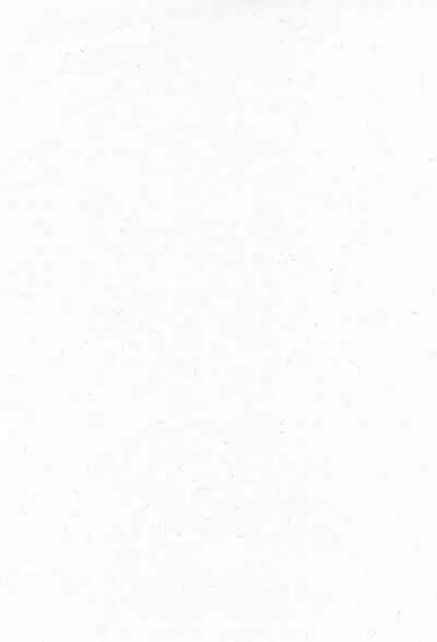 Re: Shoryutei Light 2