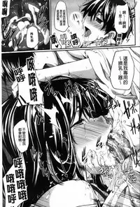 [Fue] フェラピュア[chinese]